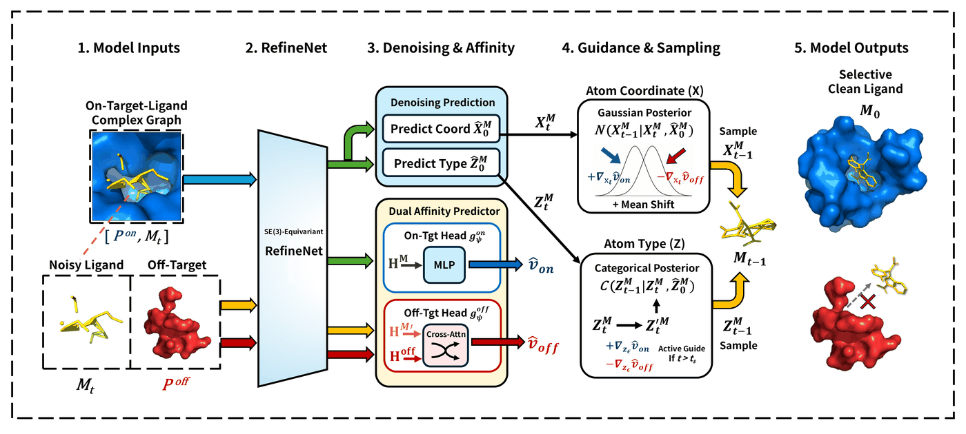 Overview of TheSelective: an on-target complex graph, a noisy ligand, and an off-target protein are encoded by an SE(3)-equivariant RefineNet; a dual affinity predictor produces on-target and off-target scores that guide atom coordinate and atom type sampling.
